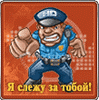 Аватара пользователя