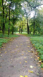 IMG_20171007_122636.jpg