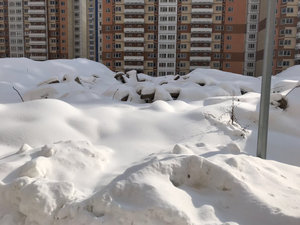 EEA940A1-8757-4435-A3C4-CCB0FDFC318F.jpeg
