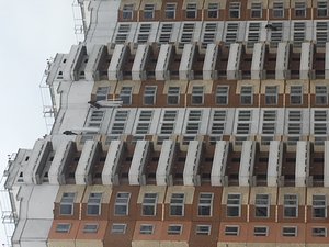 IMG_0446.JPG