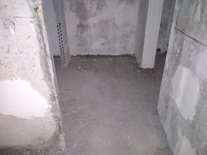 IMG_20180730_205500.jpg