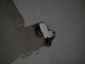 IMG_20180730_205620.jpg