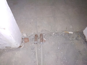 IMG_20180730_210242.jpg