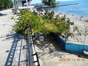DSCN0154.JPG