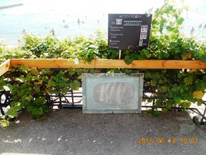 DSCN0158.JPG