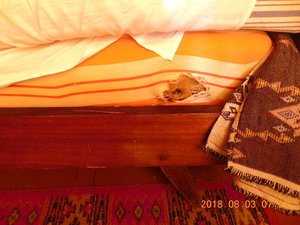 DSCN0042.JPG