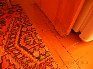 DSCN0040.JPG