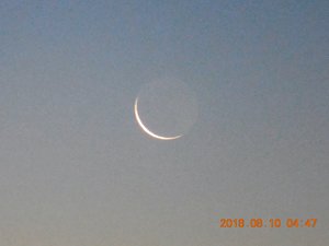 DSCN0116.JPG