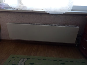 IMG_20180809_072632.jpg
