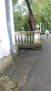 IMG_20180907_083935.jpg