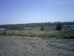 IMG0146.jpg