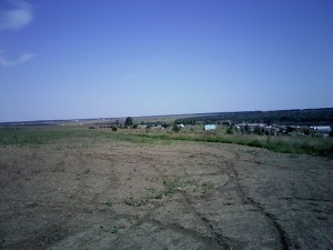 IMG0148.jpg