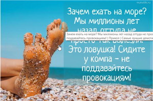Скриншот 09-06-2019 101052.png