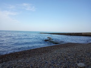 IMG_20190618_064331.jpg