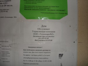DSC07387.JPG