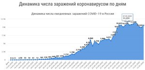 1552020_154018861.jpg