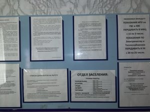 IMG-20200609-WA0008.jpg