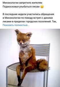 20201027_233544.jpg