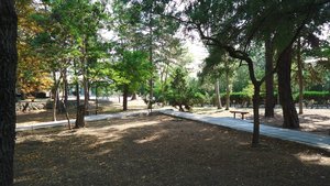 DSC05684.JPG