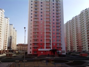 61645082.jpg