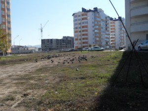 Изображение 122.jpg