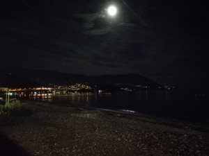 IMG_20221008_203504.jpg