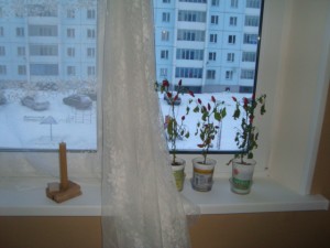 18_11_2011_8026.JPG