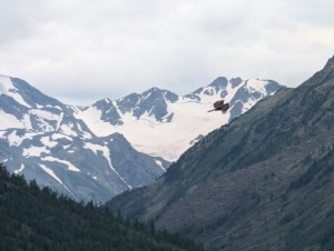 PXL_20240718_091048985.jpg