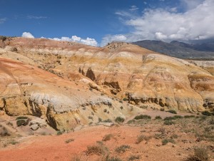 PXL_20240720_054236720.jpg