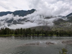 PXL_20240722_002043150.MP.jpg