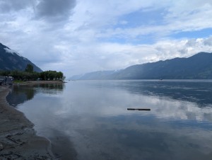 PXL_20240723_031835998.MP.jpg