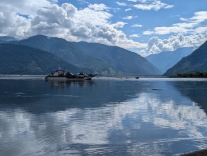 PXL_20240723_032259081.jpg