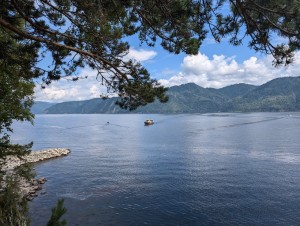 PXL_20240723_055122830.jpg