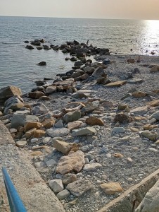 IMG_20240704_183348.jpg