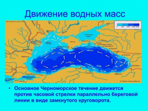 Течения ЧМ.PNG