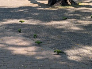 .trashed-1736558392-PXL_20241210_162727077.jpg