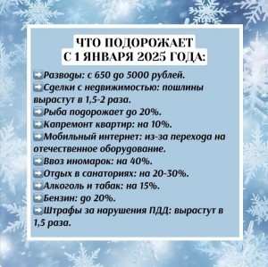 2025 год.jpg