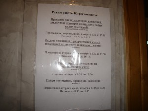 pic2.jpg