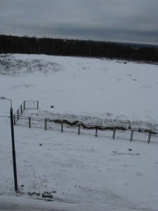 IMG_7089.JPG