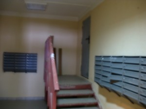 IMG_7098.JPG