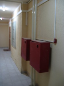 IMG_7097.JPG