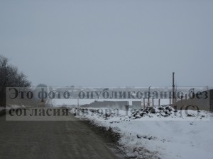 IMG_0351.jpg