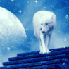 124269_prev_98.gif