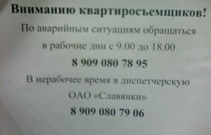 IMG0259A.jpg