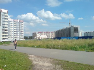 Вид с перекрёстка у. Московской и Ижорского  батальона.jpg