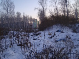 24.11.2011 _ 8153 [].JPG