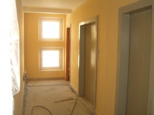 CIMG6310.JPG