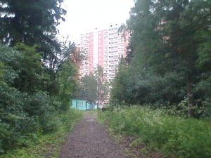 Бал_4.jpg