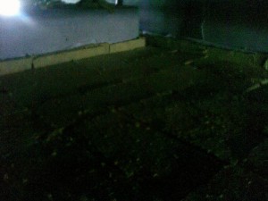 Изменение размера IMG0308A.jpg
