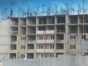 SDC14454.JPG